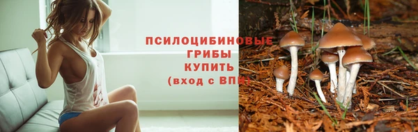 крисы Михайловск