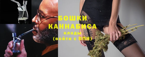 крисы Михайловск