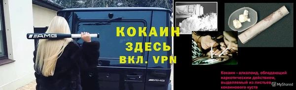 крисы Михайловск
